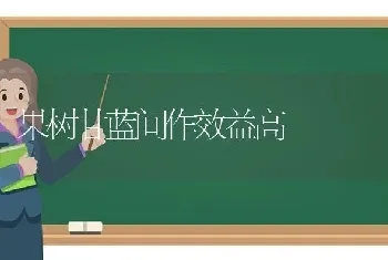 果树甘蓝间作效益高