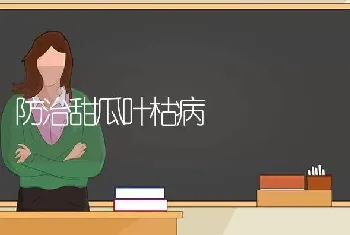 防治甜瓜叶枯病