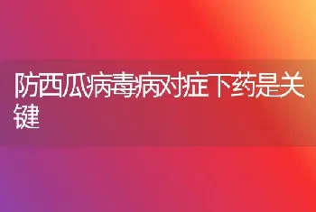 防西瓜病毒病对症下药是关键