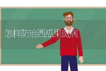 怎样防治西瓜果斑病