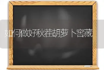 如何做好秋茬胡萝卜窖藏