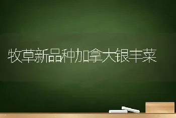 掌握七法蔬菜不受冻