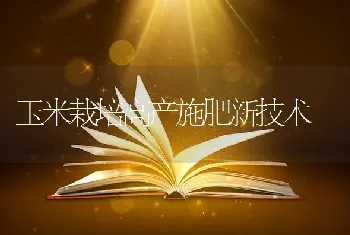 玉米栽培高产施肥新技术