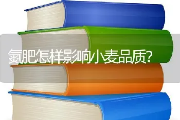 氮肥怎样影响小麦品质?