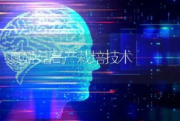 真姬菇高产栽培技术