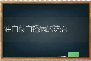 蔬菜在冬季生长缓慢的原因及应对措施