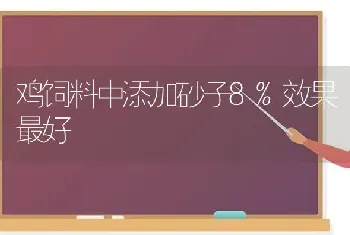 鸡饲料中添加砂子8%效果最好