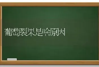 葡萄裂果是啥原因