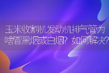 玉米收割机发动机排气管为啥冒黑烟或白烟?如何解决?