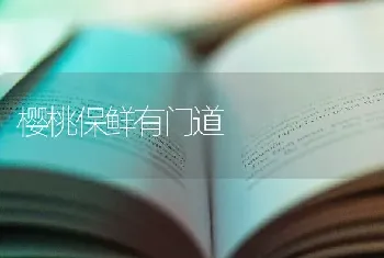 樱桃保鲜有门道