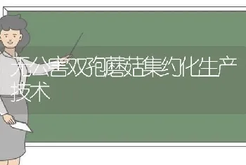 无公害双孢蘑菇集约化生产技术