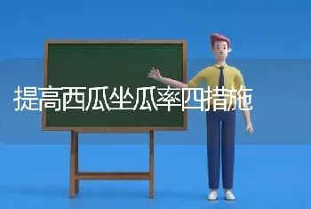 提高西瓜坐瓜率四措施