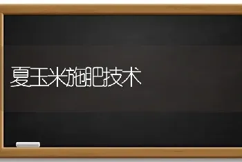 夏玉米施肥技术