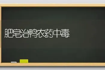 肥皂治鸭农药中毒