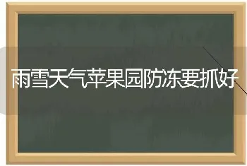 雨雪天气苹果园防冻要抓好