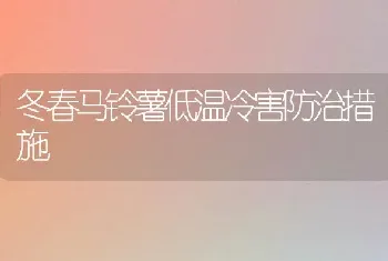 冬春马铃薯低温冷害防治措施