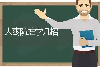 大枣防蛀学几招