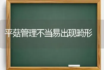 平菇管理不当易出现畸形