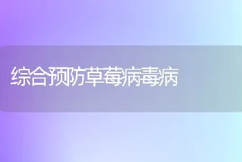 综合预防草莓病毒病