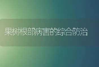 果树根部病害的综合防治