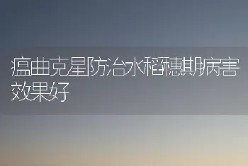 瘟曲克星防治水稻穗期病害效果好