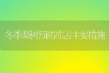 冬季梨树预防冻害主要措施