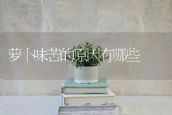 萝卜味苦的原因有哪些