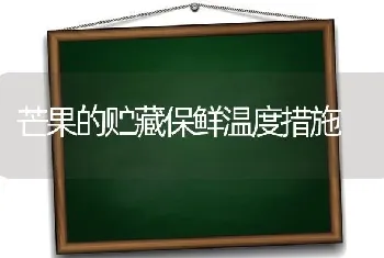 芒果的贮藏保鲜温度措施