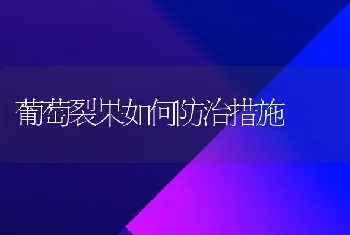 葡萄裂果如何防治措施