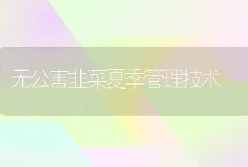 无公害韭菜夏季管理技术