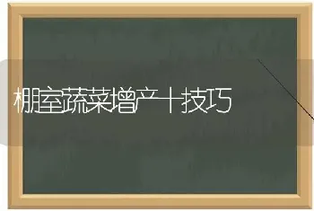 棚室蔬菜增产十技巧