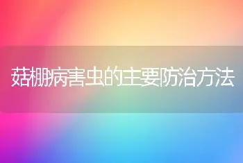 菇棚病害虫的主要防治方法