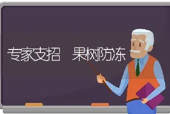 专家支招 果树防冻