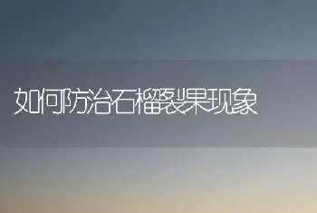 如何防治石榴裂果现象