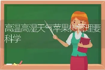 高温高湿天气苹果树管理要科学