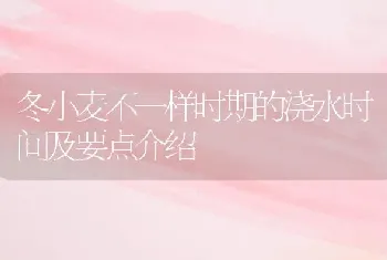 冬小麦不一样时期的浇水时间及要点介绍