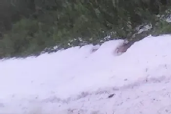 赤道附近的喀麦隆下雪了,非洲下雪实属罕见?