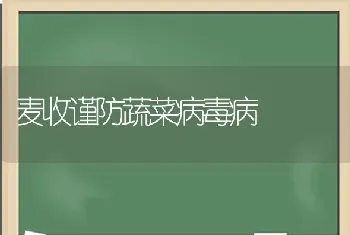 麦收谨防蔬菜病毒病