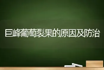 巨峰葡萄裂果的原因及防治