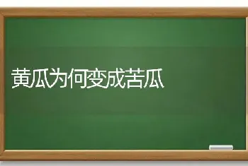 黄瓜为何变成苦瓜