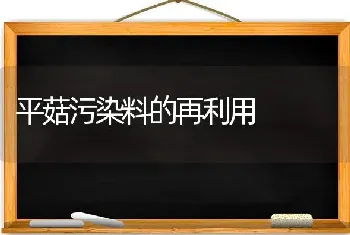 平菇污染料的再利用