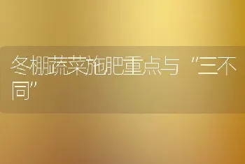 冬棚蔬菜施肥重点与“三不同”