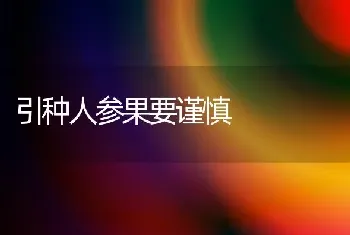 引种人参果要谨慎