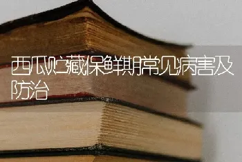 西瓜贮藏保鲜期常见病害及防治