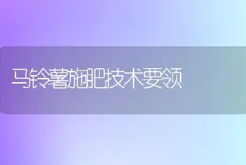 马铃薯施肥技术要领