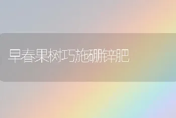 早春果树巧施硼锌肥