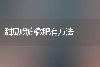 甜瓜喷施微肥有方法