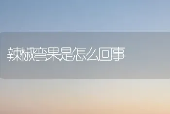 辣椒弯果是怎么回事