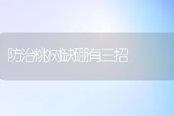 防治桃树缺硼有三招