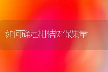 如何确定柑桔树保果量